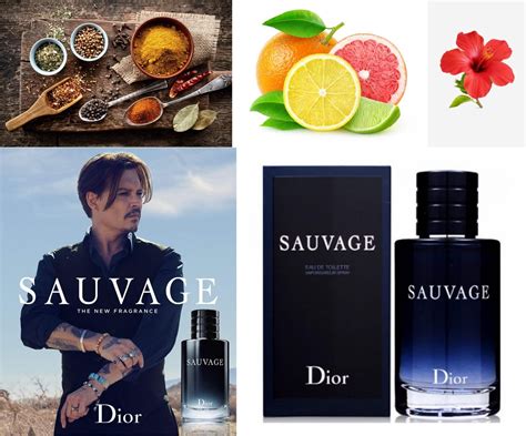 men's cologne online